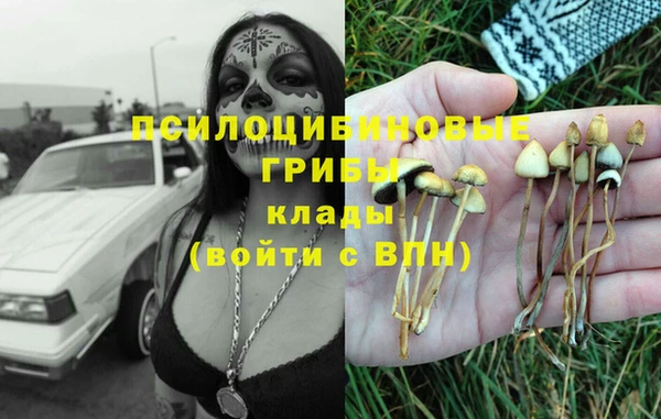 стафф Няндома