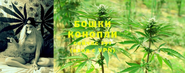 ПСИЛОЦИБИНОВЫЕ ГРИБЫ Горно-Алтайск