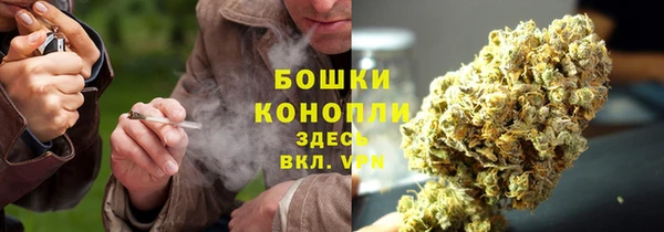 спайс Новодвинск