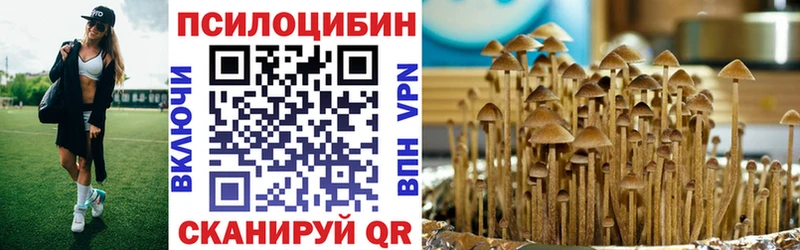 мега маркетплейс  Новая Ладога  Псилоцибиновые грибы GOLDEN TEACHER 